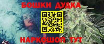 МДПВ Гусев
