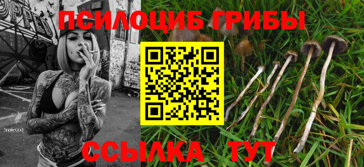 Галлюциногенные грибы ЛСД  Вход с VPN  Павловский Посад 